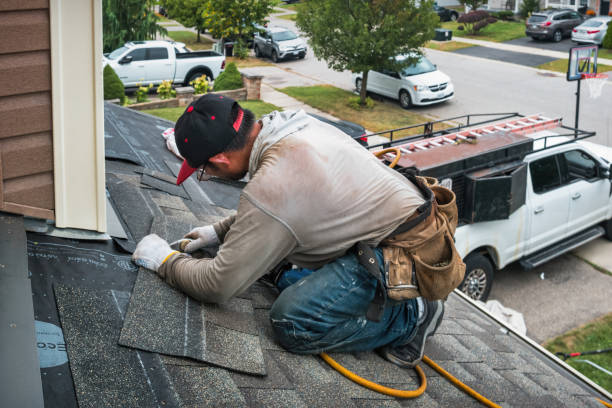 Professional Roofing technician working in Bishop Hill, IL